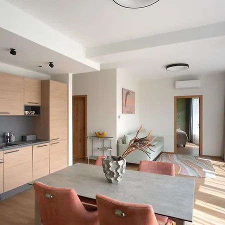 Apartment Wellness - Penthouse Druskininkai